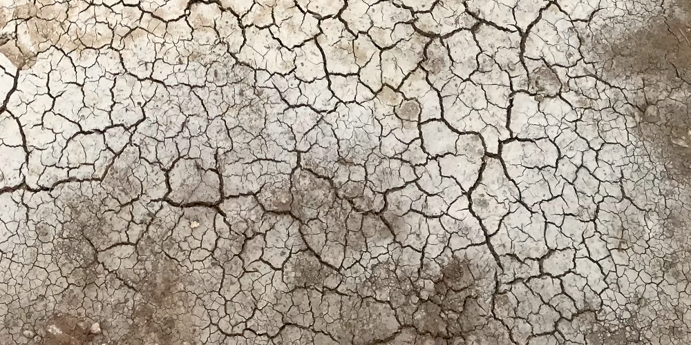 Terre délavée et craquelée