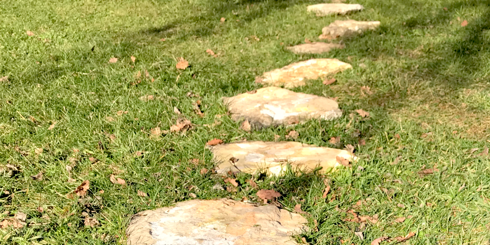 Chemin de pierres plates dans l'herbe jonchée de feuilles mortes