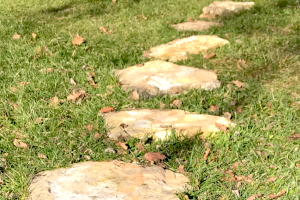 Chemin de pierres plates dans l'herbe jonchée de feuilles mortes